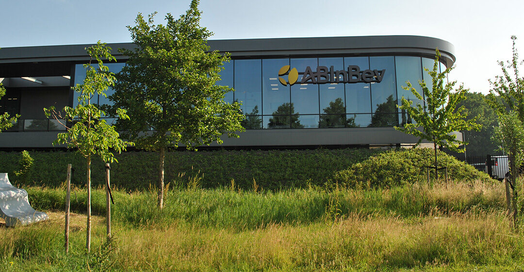 Brouwer AB InBev