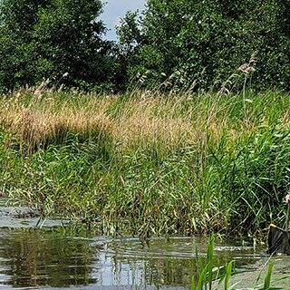 Ecologisch onderzoek