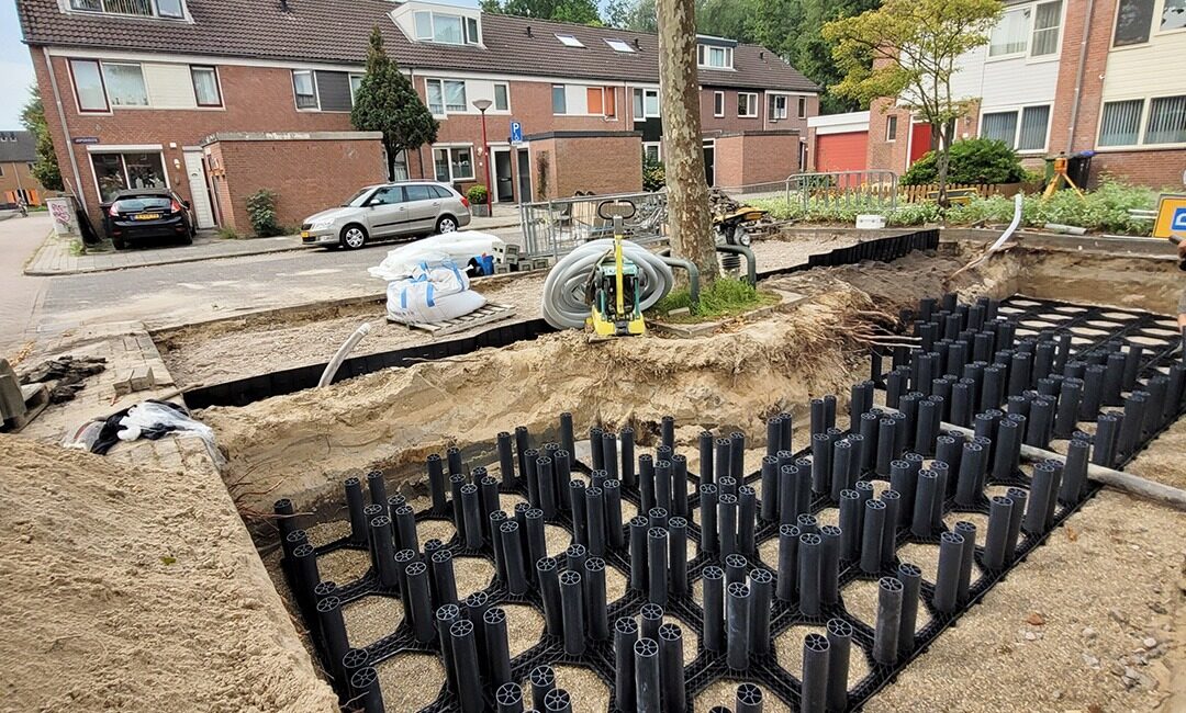 Boom Nieuwengein