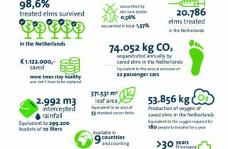 Factsheet 2023