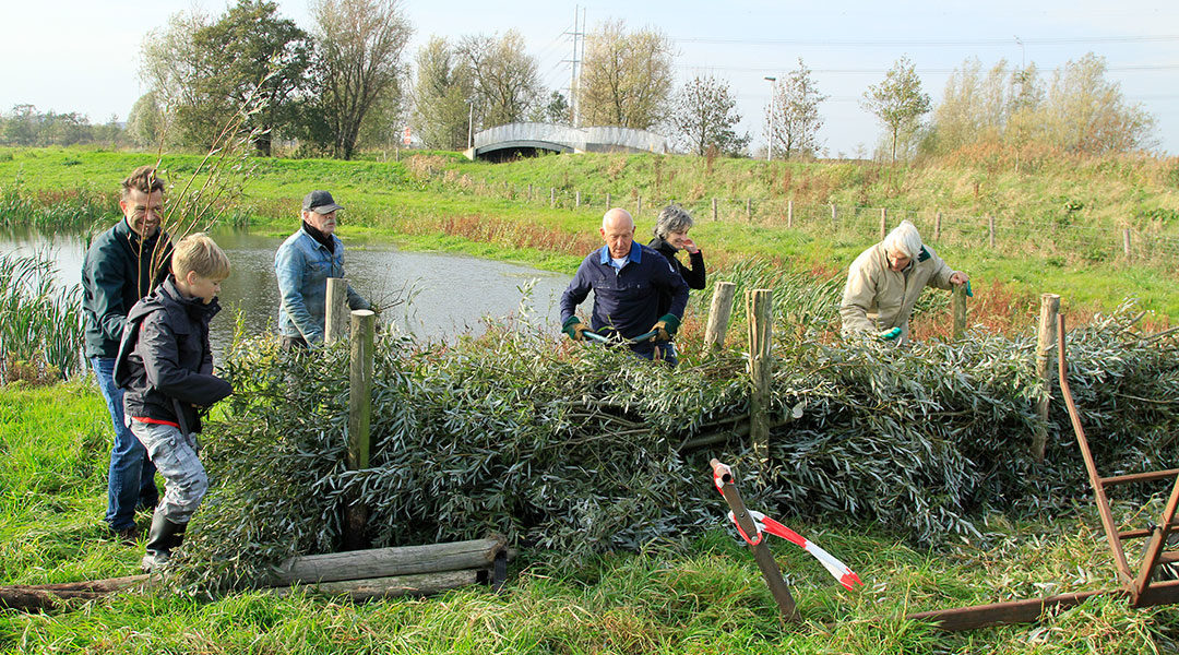 Natuurwerkdag bij De Groenzoom