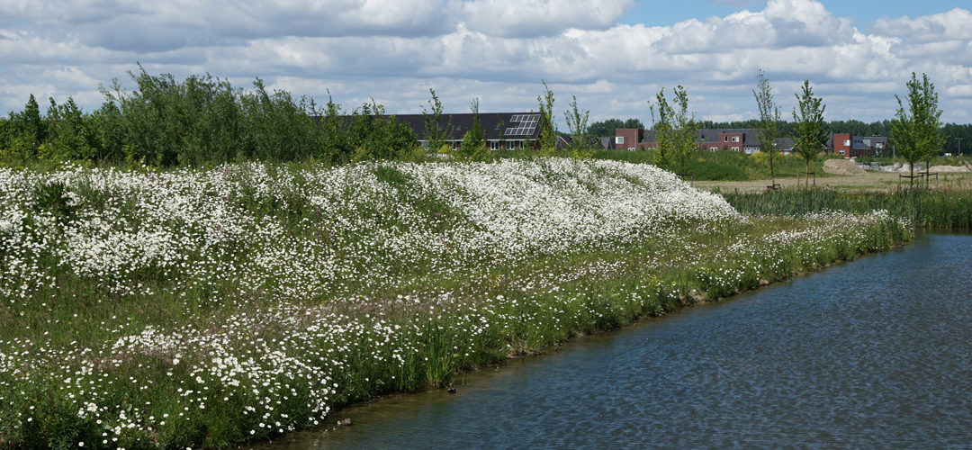 1080 x 500 - Nieuws - Natuureffect conctractuele doelstelling