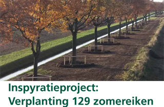 Boomzorg Editie 4 - 2017 - Inspyratieproject Verplanting 129 zomereiken langs de N366-1