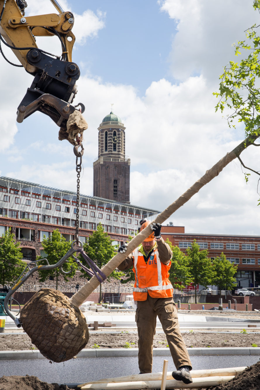 gemeente zwolle, reconstructie pannekoekendijk