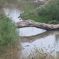 Blog - Groener spelen hoe simpel kan het zijn 1